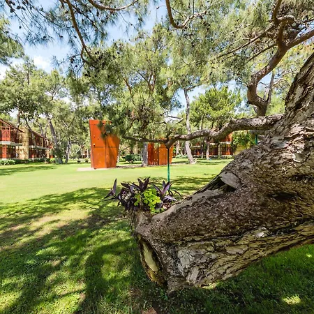 Robinson Camyuva - Adults Only 5* Kemer